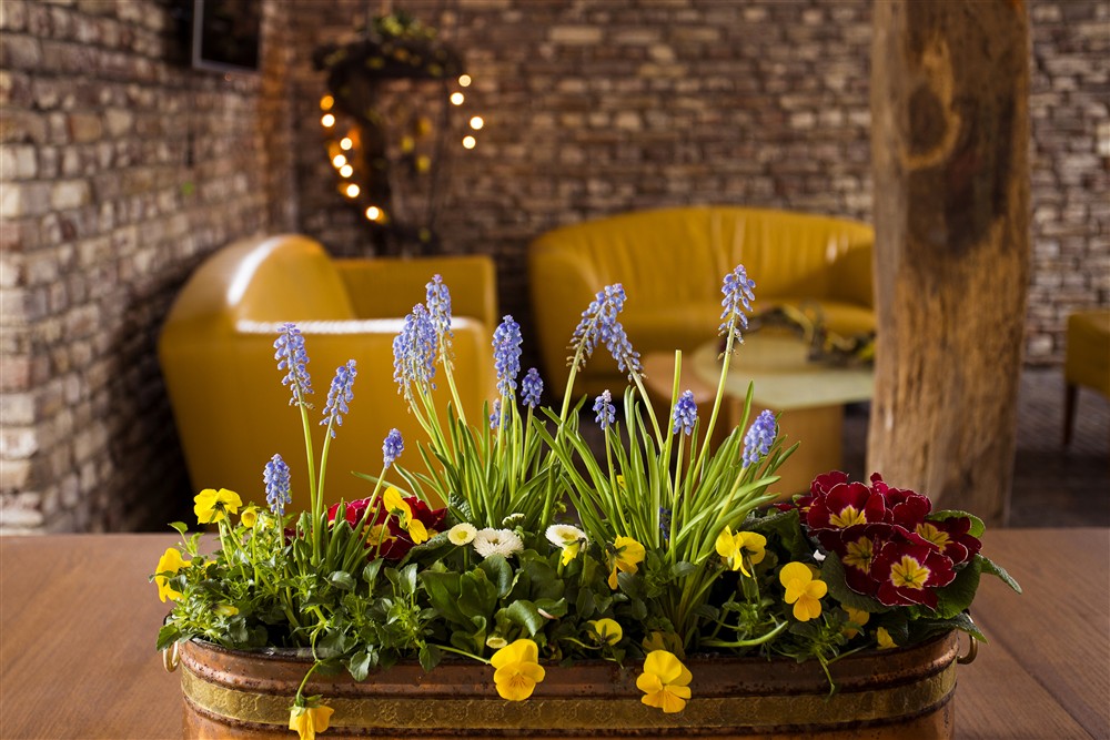 HERO-Vakantie-Meerlo-Noord-Limburg